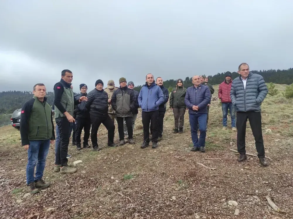 İSKİLİP ORMANLARINDA YAPILAN GENÇLEŞTİRME ÇALIŞMALARINI İNCELEDİLER